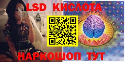 прущие грибы Краснодар