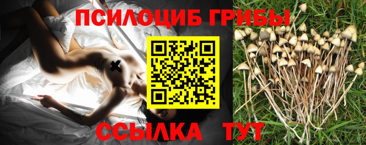 Галлюциногенные грибы прущие грибы  Галлюциногенные грибы Psilocybe  Клин  Вход с VPN 