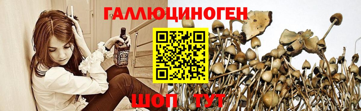 Псилоцибиновые грибы прущие грибы Клин